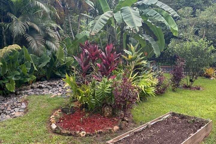 Private Puerto Rican Cooking Class with Cocktails Near San Juan