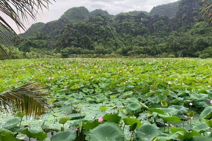 Ninh Binh Sunset Motobike Tour : Mua Cave & Hoa Lu Ancient Town