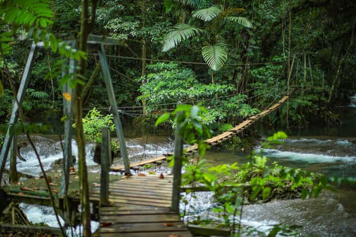 סיורי חצי יום בלו לגון ומפלים