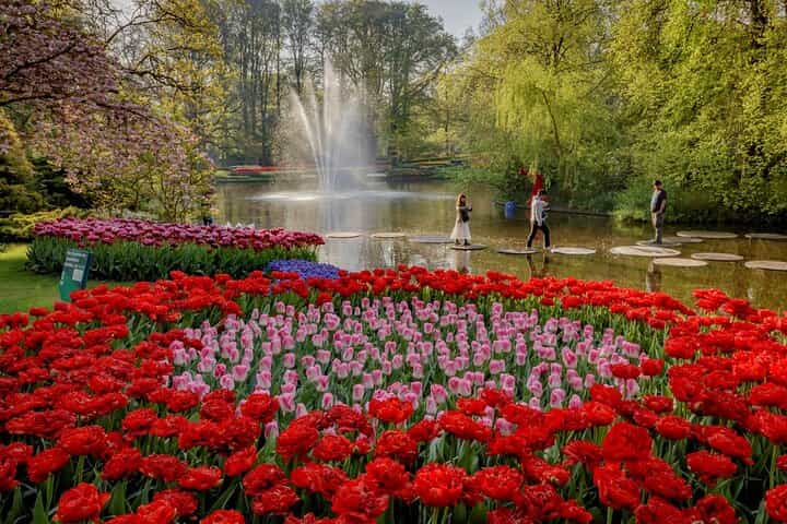 Amsterdam: Keukenhof Entry plus Shuttle Bus & 75 min Canal Cruise