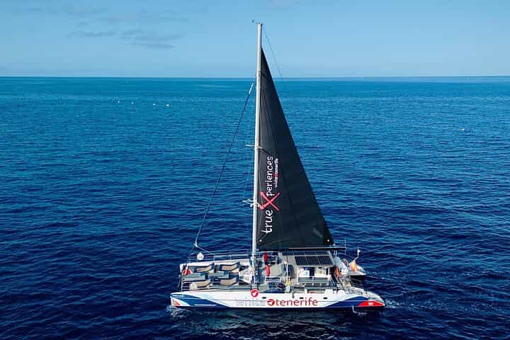 Whale watching and listening Eco-Catamaran Tour with Food Tasting