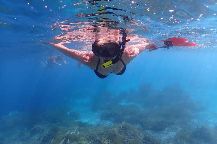 סיור שנורקלינג בפארק הימי קליין בונייר