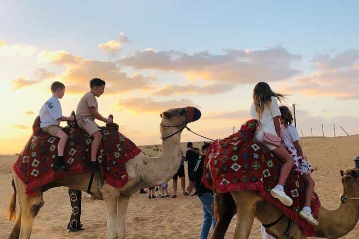 Dubai: VIP Sunset Red Dune Safari, Camel Ride & BBQ Dinner