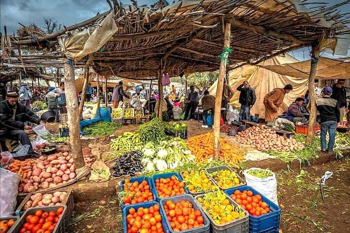 Atlas Mountains –Valleys Day Trip with local Guide