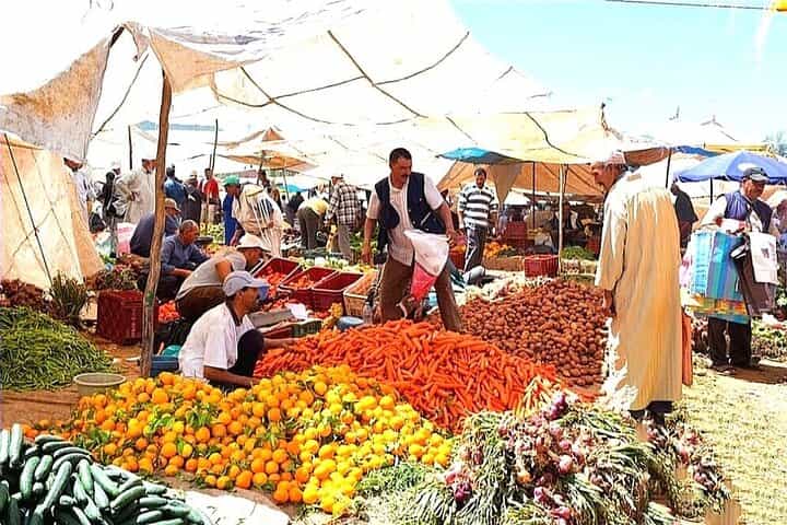 Atlas Mountains –Valleys Day Trip with local Guide