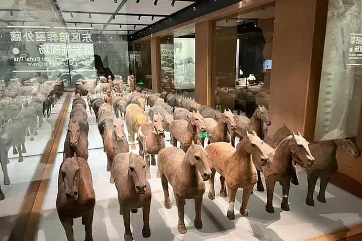 Xi'an Customized day tour with Pick up Service options