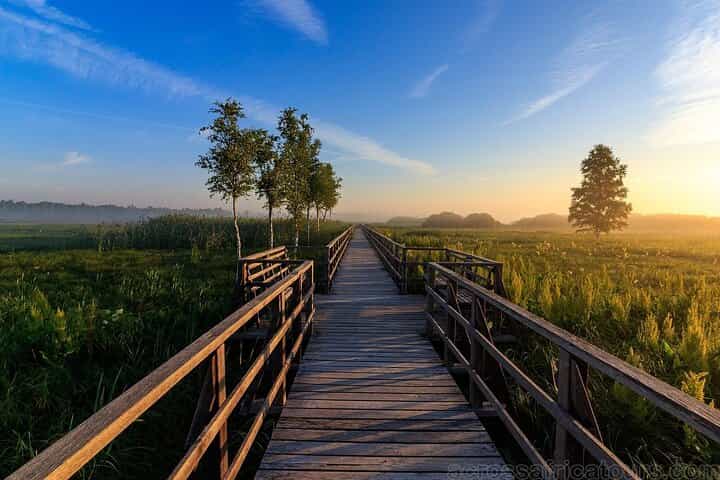 Explore Mamoudzou & the National Wetland Reserve 3 Days/2 Nights