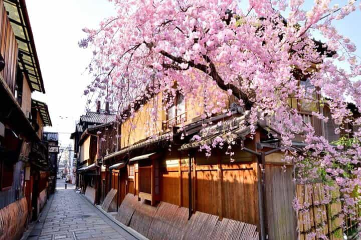 Kyoto: Gion Hidden Gems & Geisha Culture Tour