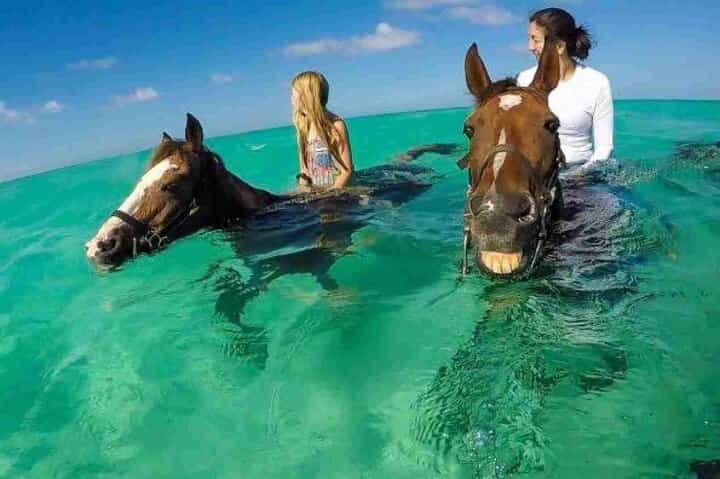 Horse riding 3 hours in hurghada 