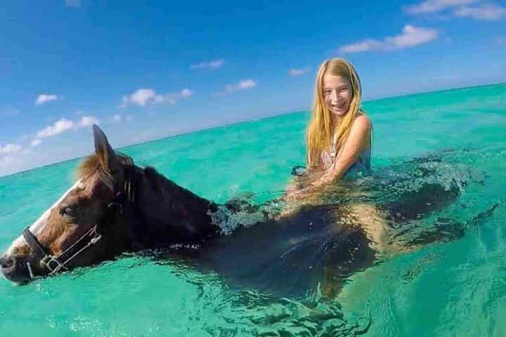 Horse riding 3 hours in hurghada 