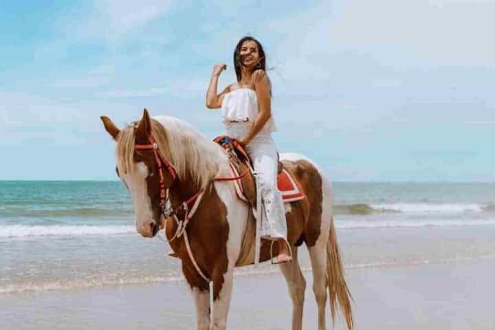 Horse riding 3 hours in hurghada 