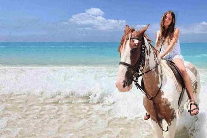 Horse riding 3 hours in hurghada 