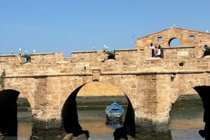 Essaouira Day Trip from Marrakech: Goats in Trees, Souks & Medina