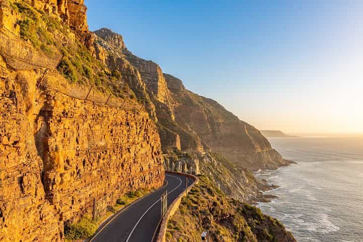 סיור חצי יום לפינגווינים האפריקאיים