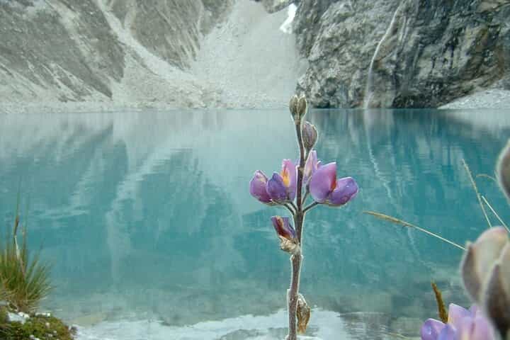 טיול יום ללגונה 69