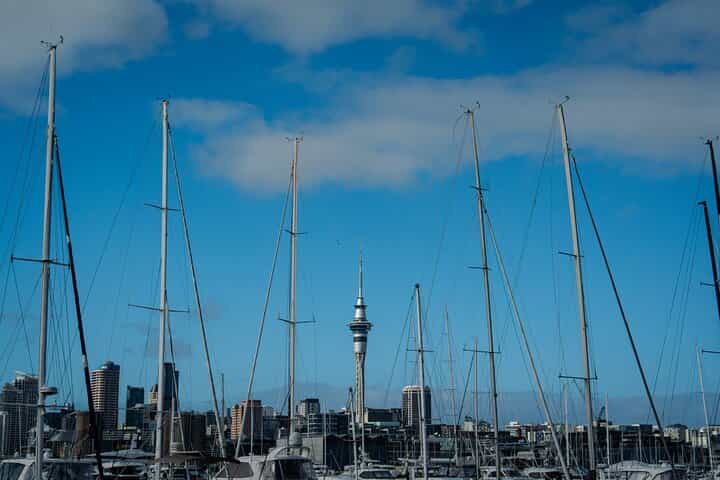 סיור חצי יום לגילוי העיר אוקלנד