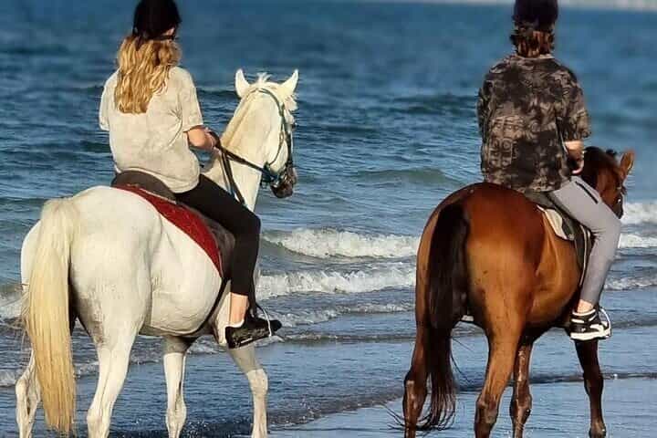 2-Hour Desert & Seaside Horse Ride in Sharm El-Sheikh