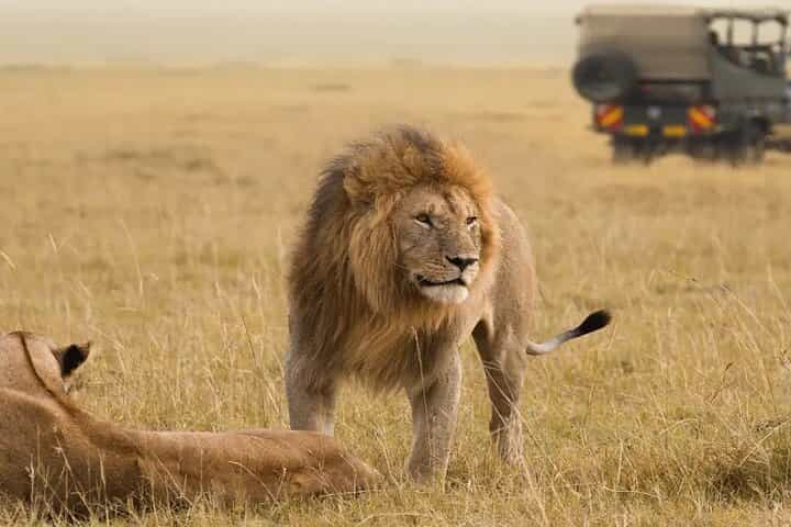 4-Day Safari to Tarangire, Lake Manyara & Ngorongoro Crater