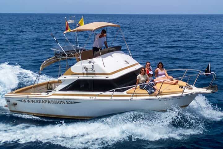 סיור צפייה בלווייתנים ודולפינים בצוקי הענקים ובמאסקה בקבוצות קטנות