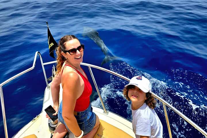 סיור צפייה בלווייתנים ודולפינים בצוקי הענקים ובמאסקה בקבוצות קטנות