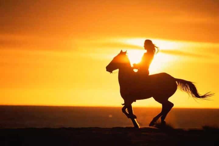 Horse ride tour from Agadir