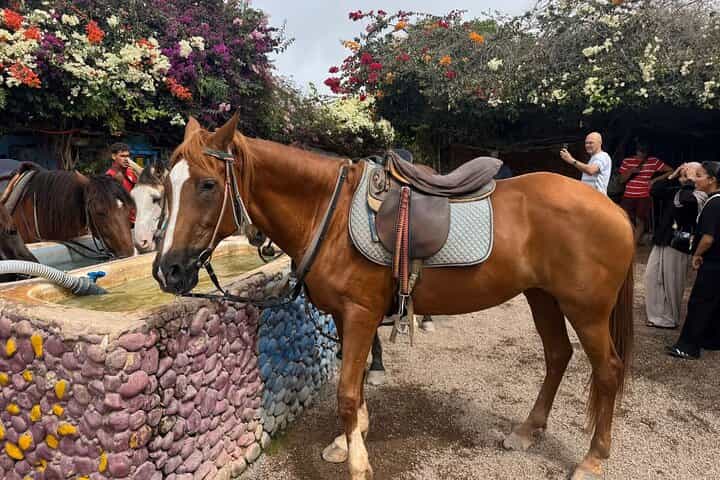 Horse ride tour from Agadir