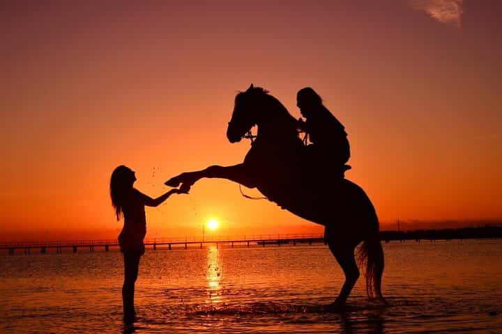 Hurghada: Desert & Sea Horse Riding Tour w/Optional Swimming