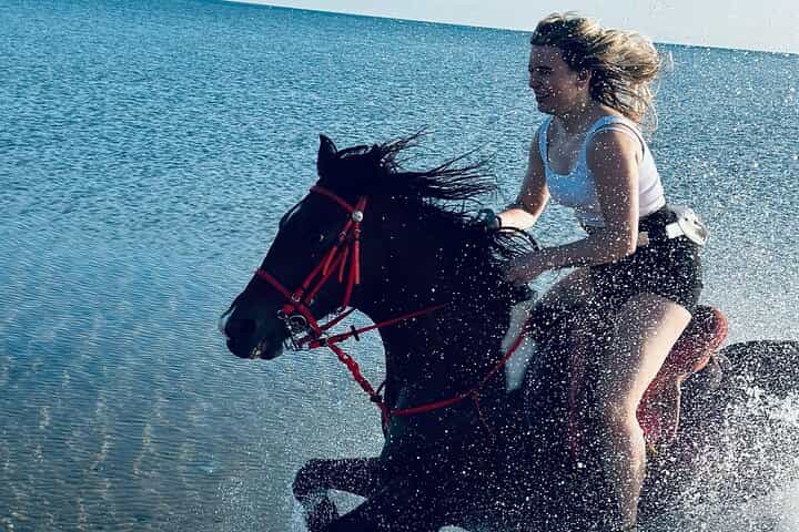 Hurghada: Desert & Sea Horse Riding Tour w/Optional Swimming