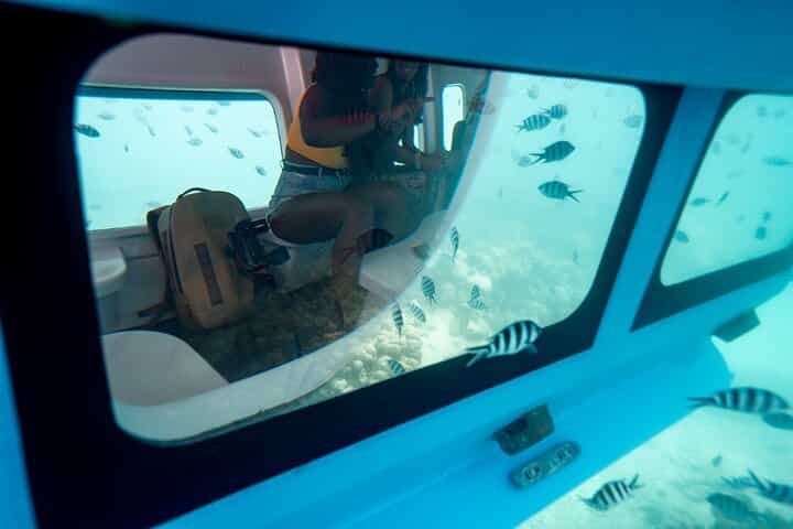 סיור בסמי-תת ימי בפארק הלאומי סנט אן