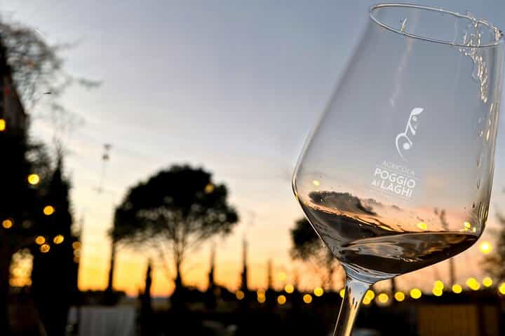 Castles & Chianti Wine Experience– Small Group from San Gimignano