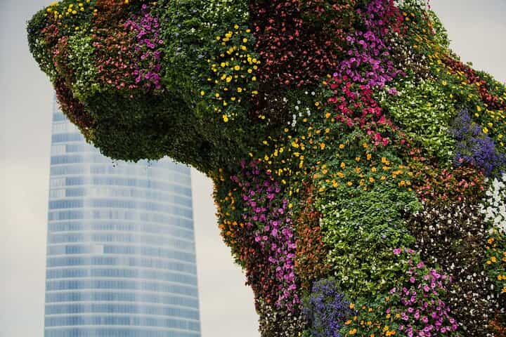 Private Guggenheim Bilbao & Basque Coast Tour from San Sebastian