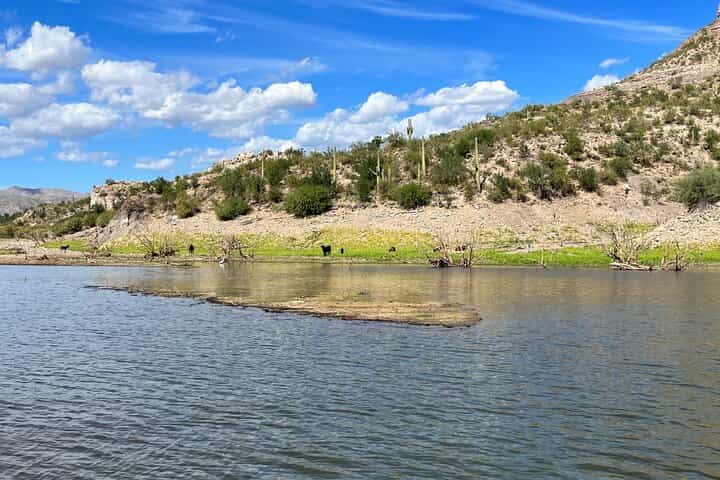 Boat Tour in Lake Pleasant, Arizona
