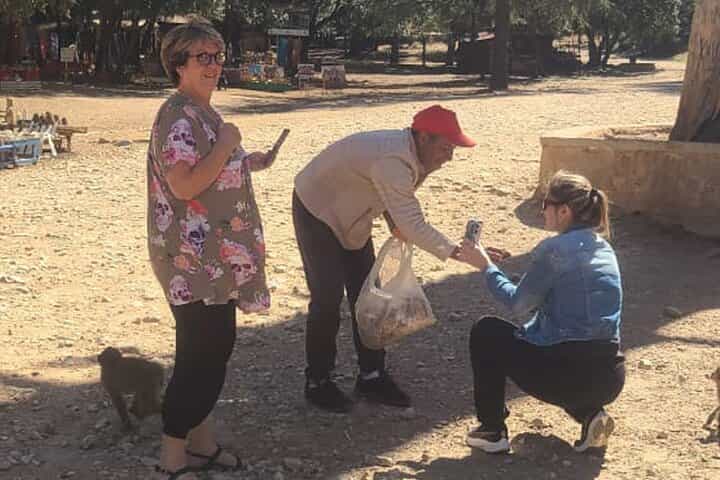 Private Exclusive Fes to Middle Atlas Day Trip via Ifrane 