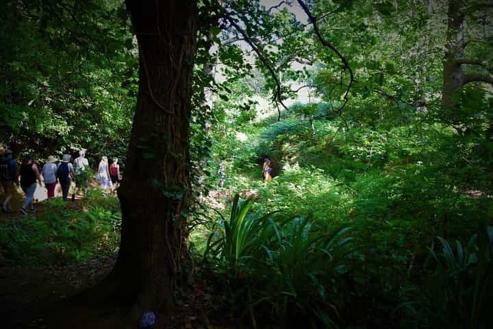 Best Paradise Valley Experience from Agadir 