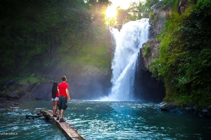 New Ubud Tour : Waterfall - Rice terrace - temple - Monkey forest