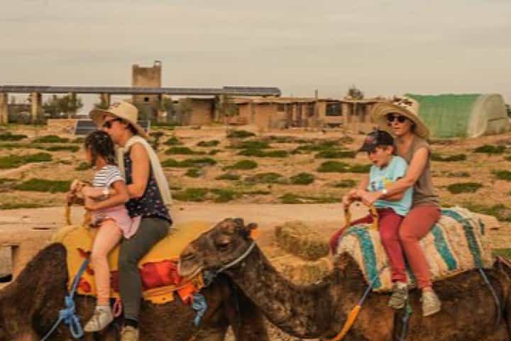 Agafay Desert Dinner & Camel Ride from Marrakech
