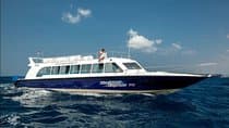 העברת סירת Blue Water Express מזהרגן או פדאנג באי ללומבוק או להפך
