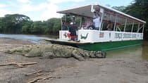 ספארי ק crocodילים בג'ונגל ובילוי בצפייה בציפורים/נהר טארקולס קוסטה ריקה