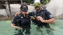 PADI Discover Scuba Diving בקו תאו - חצי יום ושתי צלילות