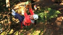 Lane Poole Park Dwellingup - Tree Ropes Course 