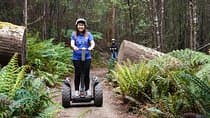 Launceston: Hollybank Treetops Adventures - Segway Tour