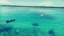Blue hole, drift snorkeling, turtles Celebration Key is welcome 