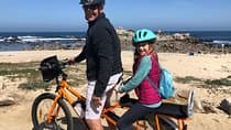 Monterey's 17 Mile Drive Guided Electric Bike Tour, 3 hr