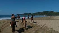 Horseback Riding on the Beach