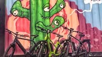Tour אופניים חשמליים של אוסטין: בואו לרכב