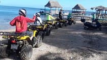 חיות בר ברואטן והרפתקת ATV.
