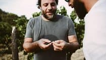 סיור אוכל ויין של ברטראן בוסק בפיק סן לופ