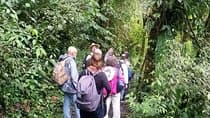 Full-Day Private Birding Tour in La Paz Refuge & Hummingbirds