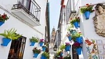 Mosque-Cathedral, Alcazar & Jewish Quarter with Tickets 