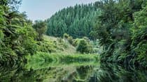Twilight Glowworm Kayak Tour – Lake Karapiro
